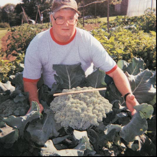 Helps Your Plants Grow Bigger Faster and Stronger 30Lb Bucket