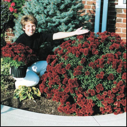 Helps Your Plants Grow Bigger Faster and Stronger 30Lb Bucket